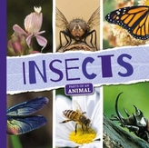  Insects