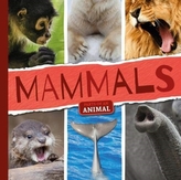  Mammals