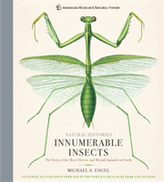  Innumerable Insects