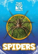  Spiders