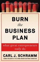  Burn the Business Plan