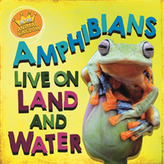  In the Animal Kingdom: Amphibians Live on Land and in Water