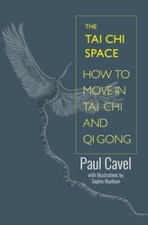 The Tai Chi Space