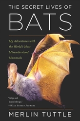  SECRET LIVES OF BATS MY ADVENTURES WITH
