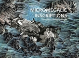  Micromegalic Inscriptions. A Rococo Story of Contemporary Engravings