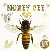  Honey Bee