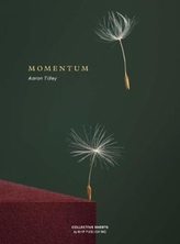  Momentum