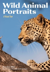  Wild Animal Portraits