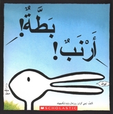  DUCK RABBIT