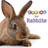  Caring for Rabbits