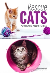  Rescue Cats