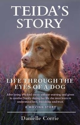  Teida's Story