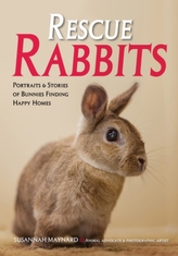  Rescue Rabbits