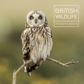  British Wildlife Photography Awards 9