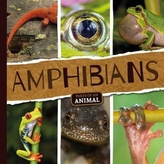  Amphibians