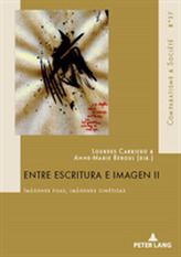 Entre escritura e imagen II