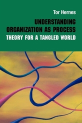  Understanding Organization as Process