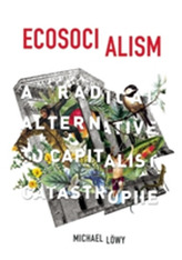  Ecosocialism