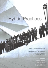  Hybrid Practices