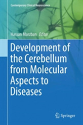  Development of the Cerebellum from Molecular Aspects to Diseases
