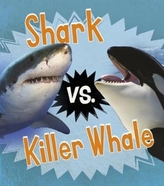  Shark vs. Killer Whale