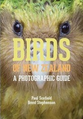  Birds of New Zealand