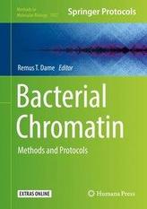  Bacterial Chromatin