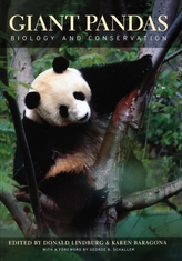  Giant Pandas