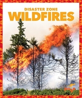  Wildfires