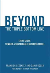  Beyond the Triple Bottom Line