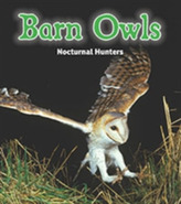  Barn Owls