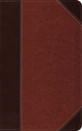  ESV Thinline Reference Bible