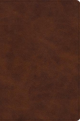  ESV Story of Redemption Bible: A Journey through the Unfolding Promises of God