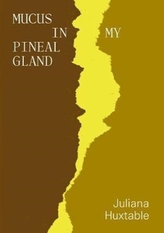  Mucus in My Pineal Gland