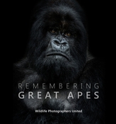  Remembering Great Apes