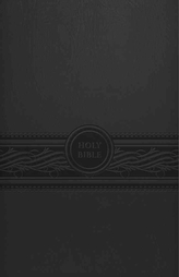  Personal Size Large Print Bible-Mev