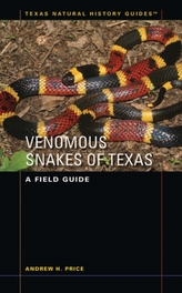  Venomous Snakes of Texas