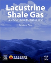  Lacustrine Shale Gas