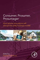  Consumer, Prosumer, Prosumager