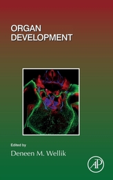  Organ Development