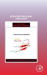  Iron Metabolism: Hepcidin