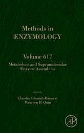  Metabolons and Supramolecular Enzyme Assemblies