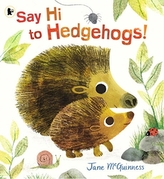  Say Hi to Hedgehogs!