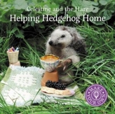  Helping Hedgehog Home