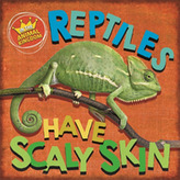  In the Animal Kingdom: Reptiles Have Scaly Skin