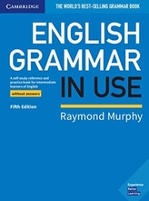  English Grammar in Use Book without Answers