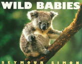 Wild Babies