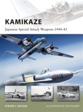 Kamikaze