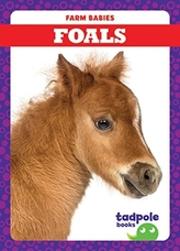  FOALS
