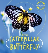  Lifecycles: Caterpillar to Butterfly